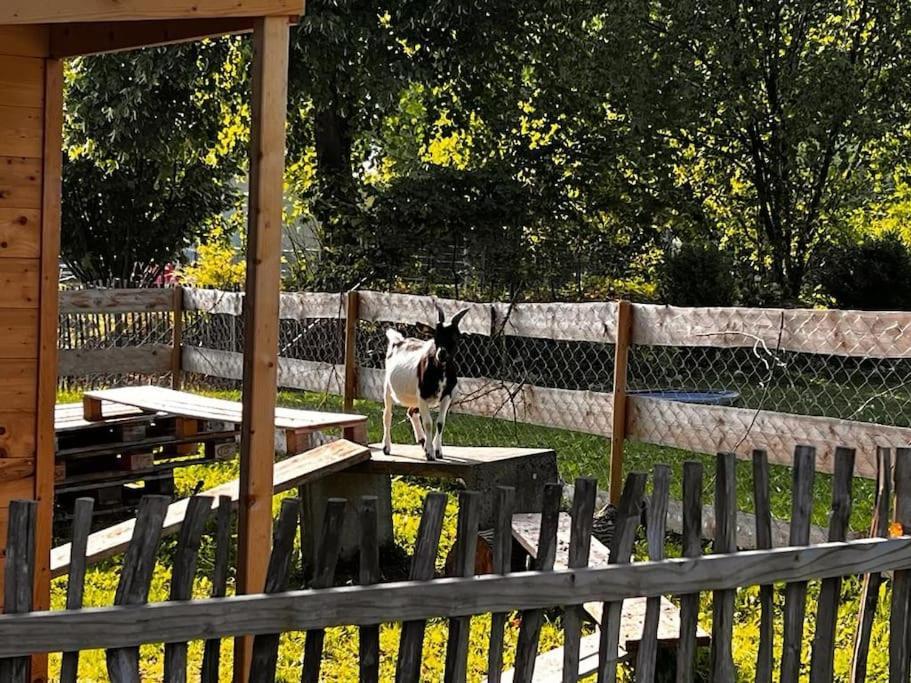 Welschwood Holiday Retreat With Sauna Gerstetten 외부 사진